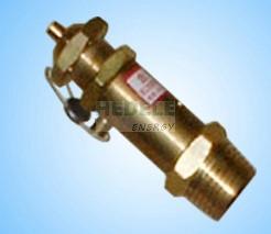 Safety valve W-0.9/8-B