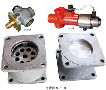 Check valve 80/100