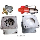 Check valve 80/100